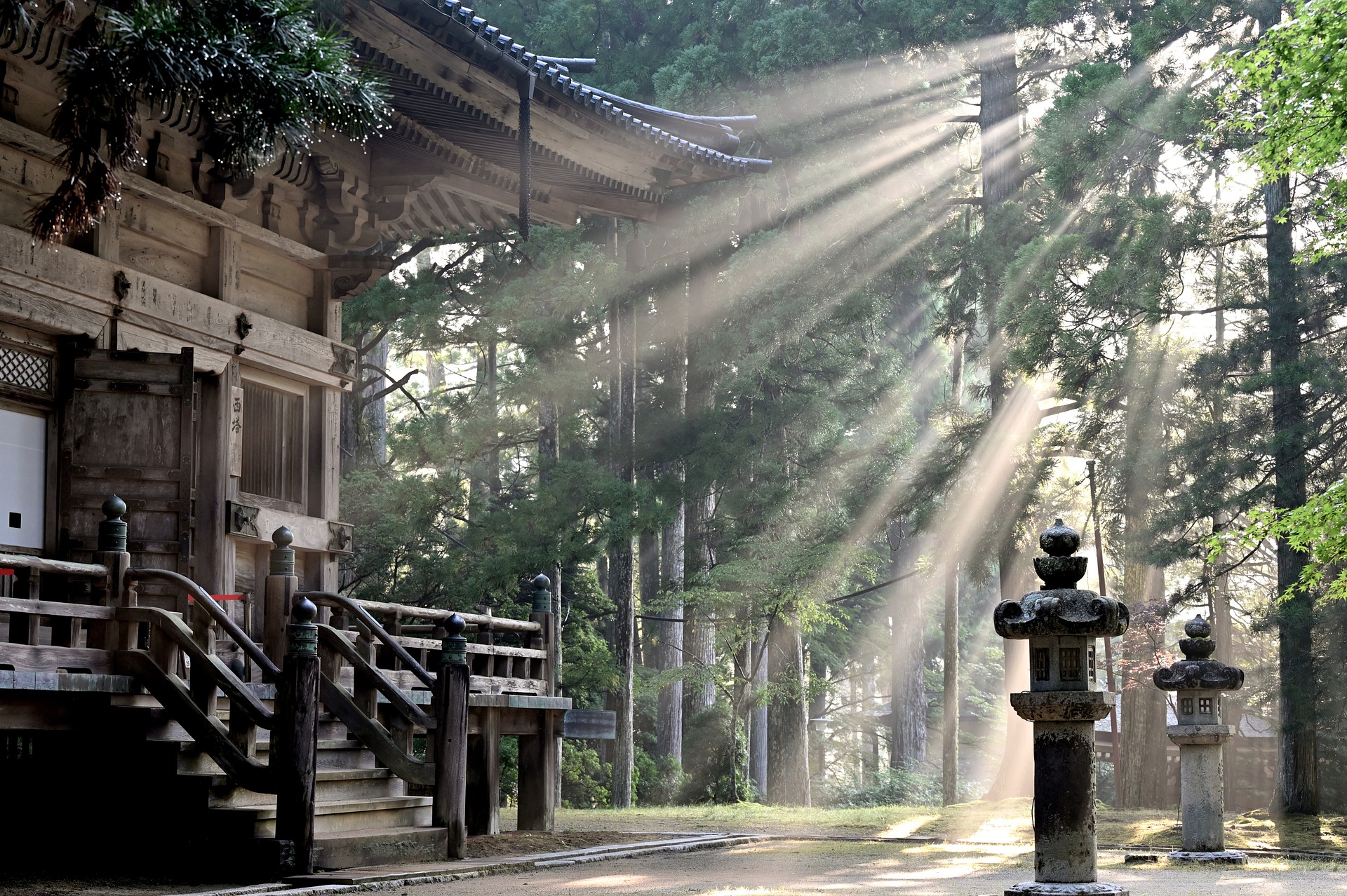 Rayons du soleil perçant à travers un grand torii rouge traditionnel en bois dans les bois